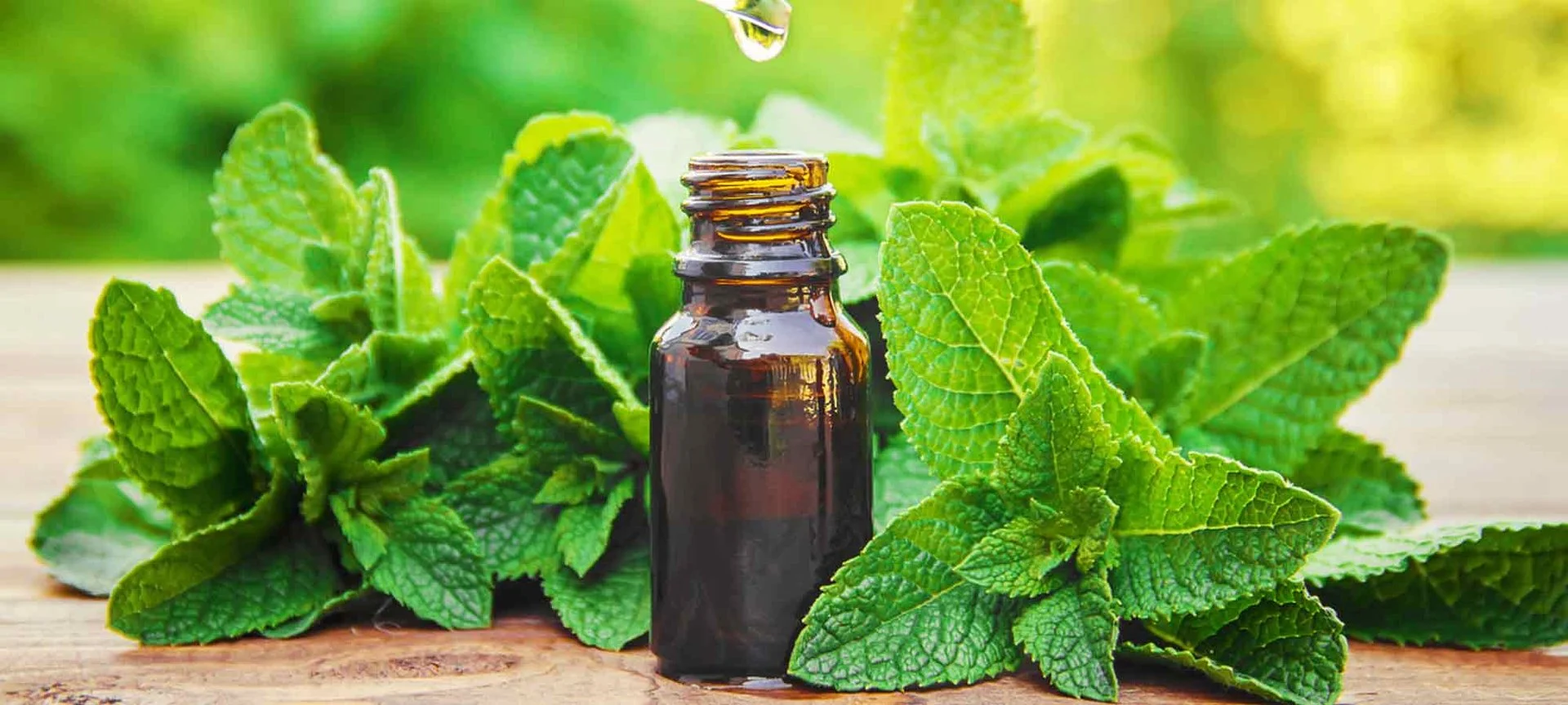 Peppermint Leaf